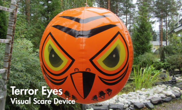 Pelotinpallo Terror Eyes